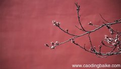 李清照满庭芳解释 李清照满庭芳如何赏析