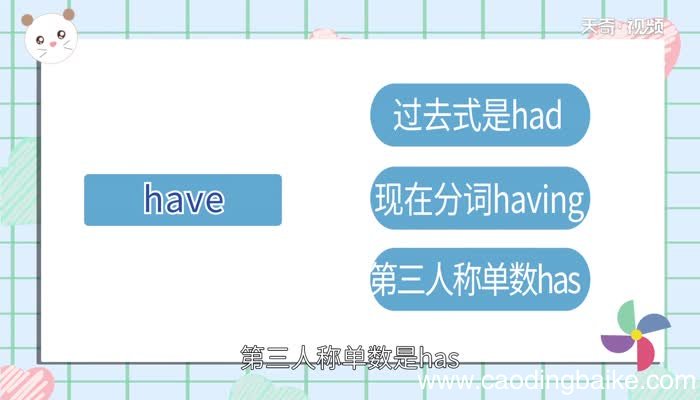 HAVE的过去式是什么 have是谁的过去式