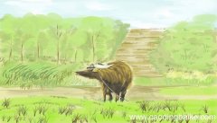 咏石牛古诗带注音版 咏石牛注音版