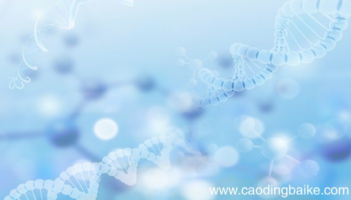 葡萄糖通过红细胞膜的方式 葡萄糖通过红细胞膜的方式是什么