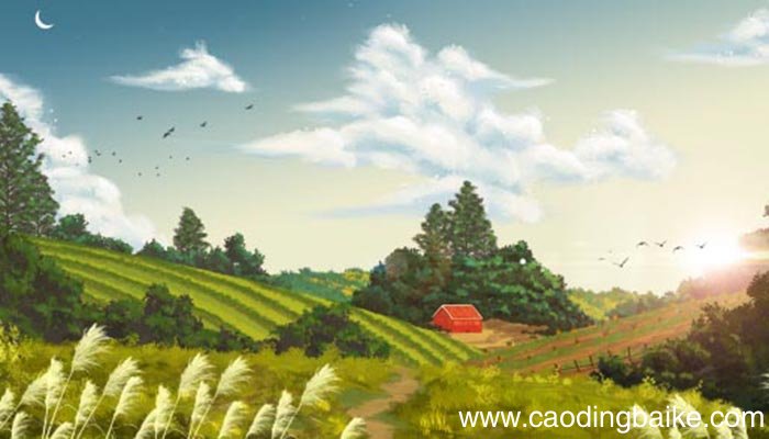 光合作用的条件是什么光合作用的条件是啥