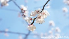 三月桃花水课文运用了哪些修辞手法 三月桃花水课文运用了什么