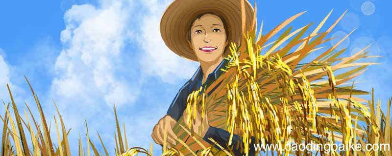 三黑和土地主要写了什么 三黑和土地主要写了什么内容