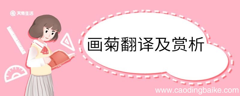 画菊翻译及赏析 画菊的翻译及赏析