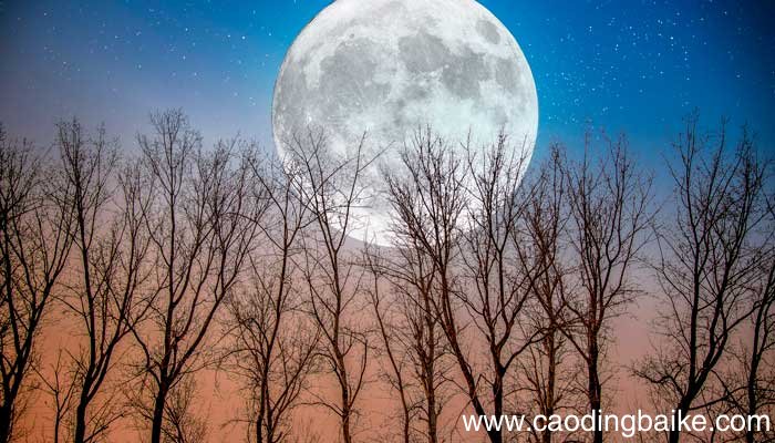 错把路灯当月亮表达什么意思错把路灯当月亮什么意思
