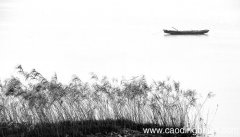 关关雎鸠在河之洲与后面两句有内容上的直接联系吗 关关雎鸠在