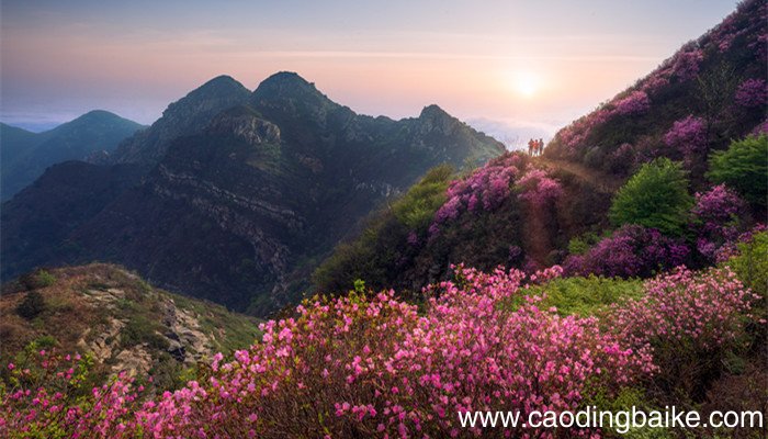 春天拟人句子仿写 春天拟人句子仿写大全