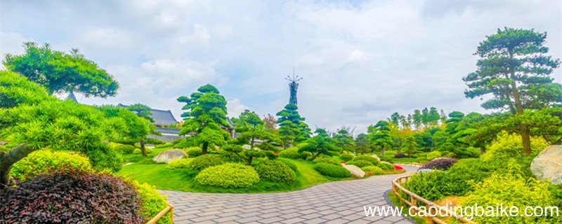 春天拟人句子仿写 春天拟人句子仿写大全