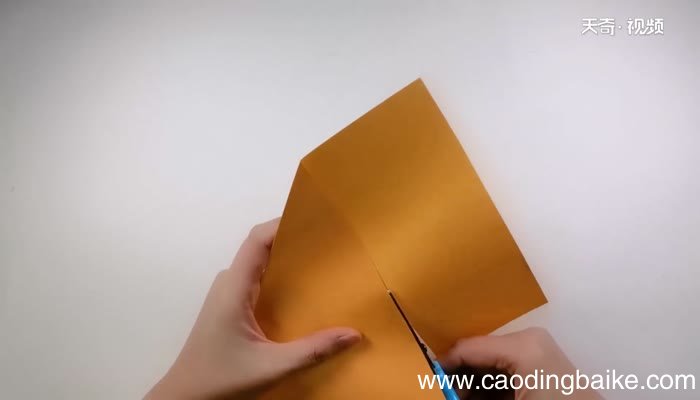 新年锦鲤 锦鲤怎么做