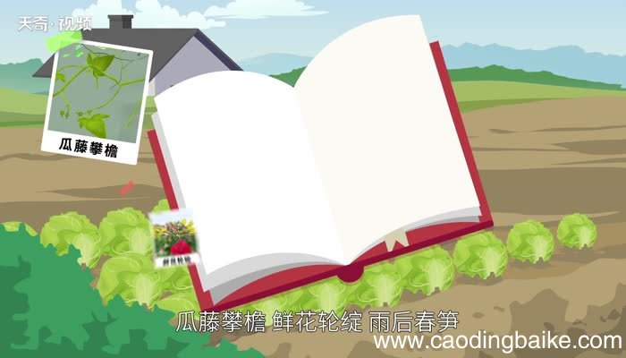 乡下人家描写了哪几幅画面 乡下人家描写了哪些场景