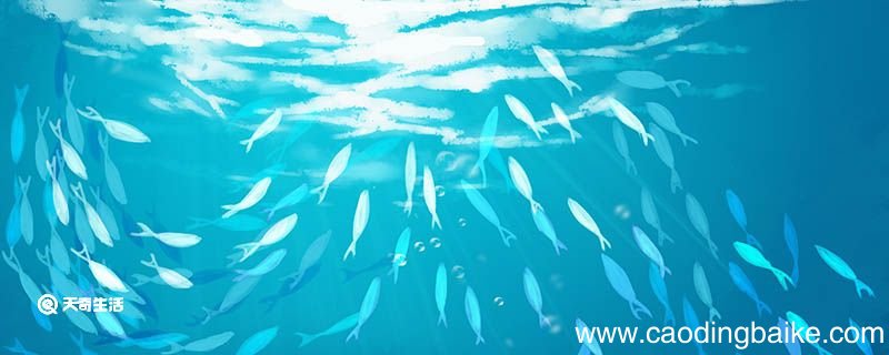 写鱼的比喻句 鱼的比喻句