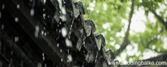雨过至城西苏家翻译及赏析 雨过至城西苏家翻译及赏析大全