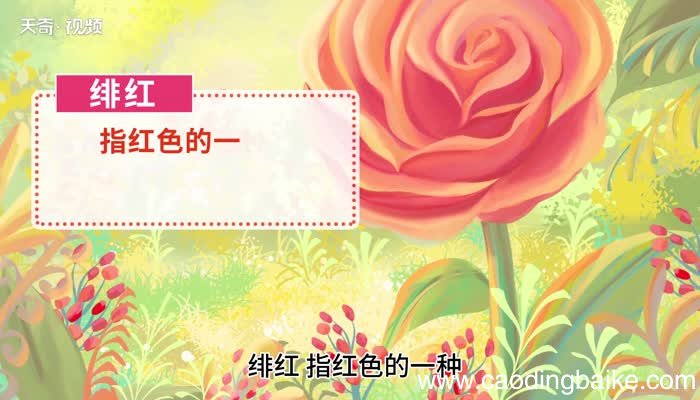 绯红的意思 绯红的意思是什么