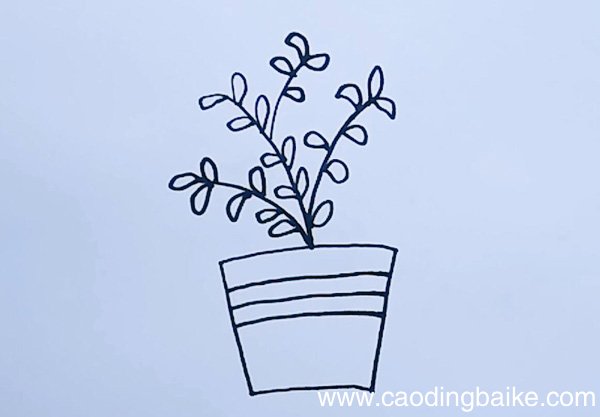 小盆栽的简笔画