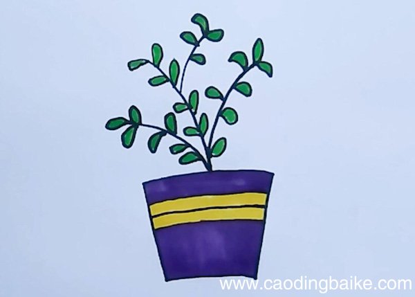 小盆栽的简笔画