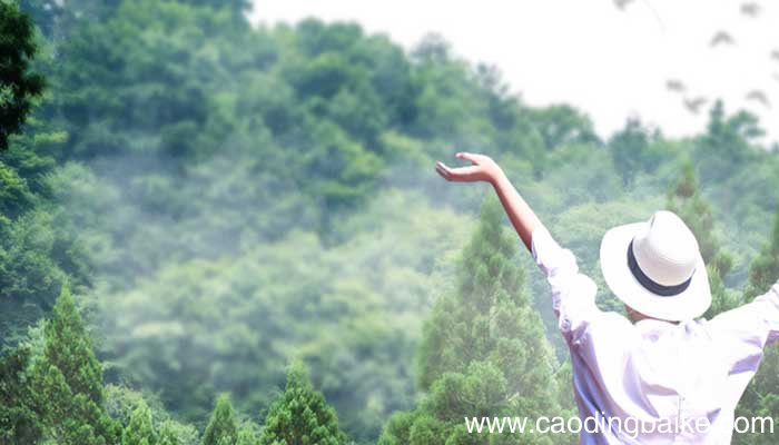 让人释怀坦然的古诗 古诗有哪些是形容释怀坦然的