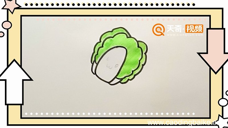 白菜简笔画 白菜怎么画