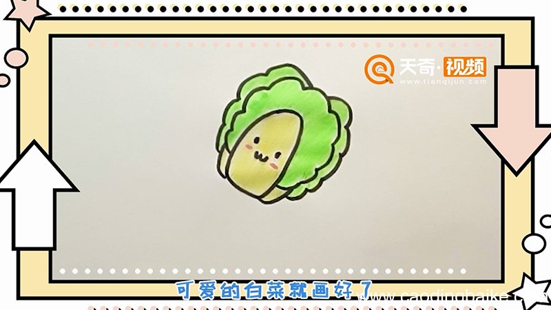 白菜简笔画 白菜怎么画
