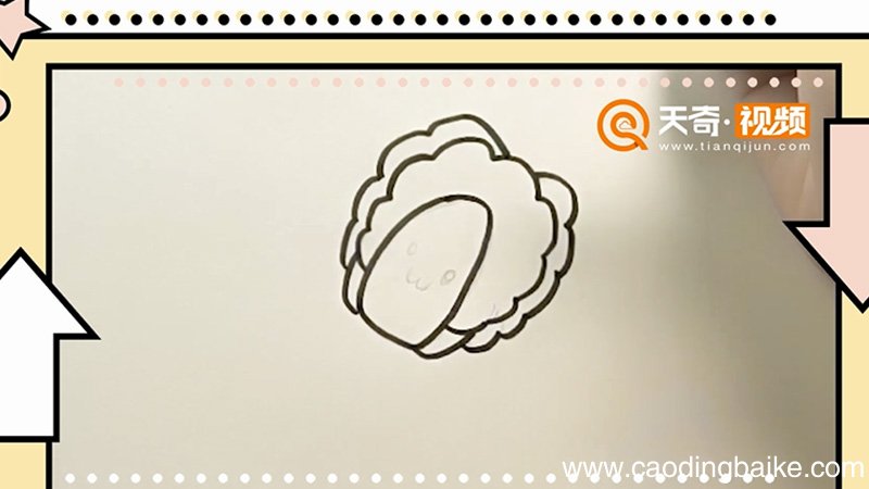 白菜简笔画 白菜怎么画