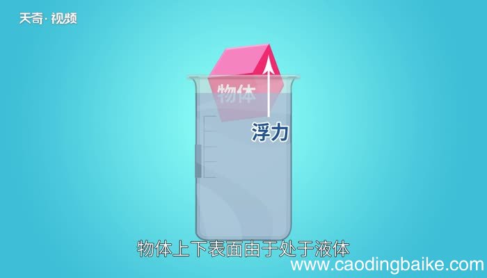 浮力产生的原因浮力产生的原理是什么