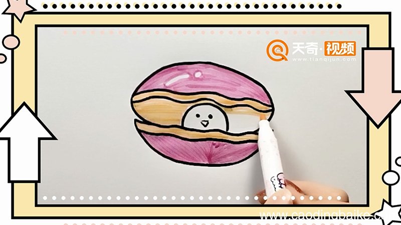 蚌壳简笔画