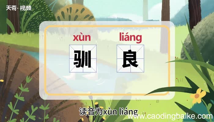 驯良的意思 驯良的意思是什么