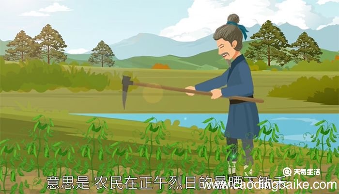 其二 《悯农》赏析