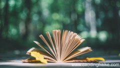 音的音节是什么 音的音节