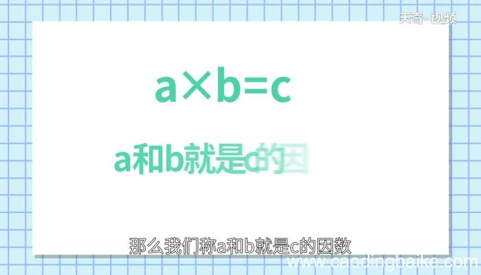 15的因数有哪些 15的公因数