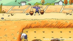 悯农春种一粒粟古诗悯农春种一粒粟全文