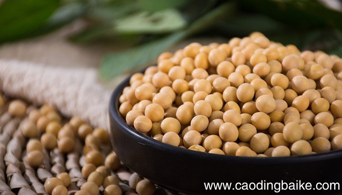 大庆特产 大庆特产都有什么