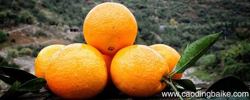 贺州特产 贺州都有什么特产