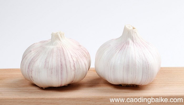 安徽阜阳特产 安徽阜阳都有什么特产