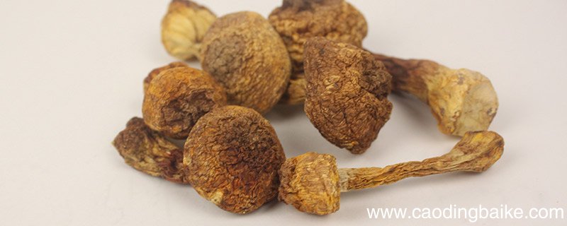 鞍山特产 鞍山都有什么特产