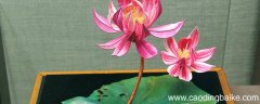 镇江有哪些工艺品 江苏镇江特产