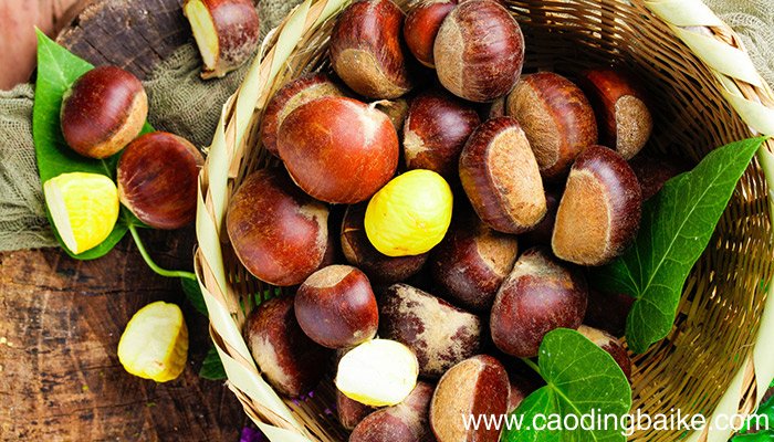 恩施土特产 恩施土特产都有什么