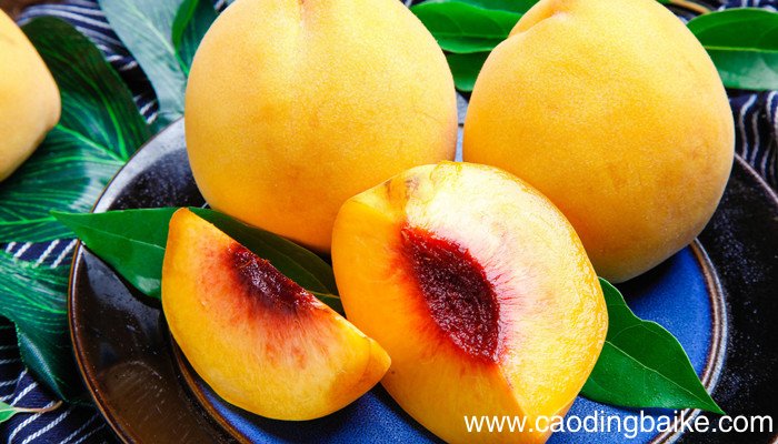 湖南特色水果有什么 湖南产的特色水果都有什么