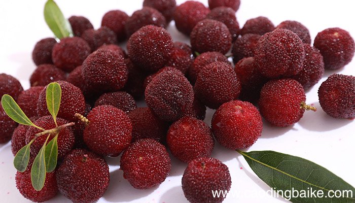 平阳特色小吃 平阳的特色小吃有什么