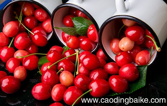 大连有哪些特色水果 辽宁大连特产