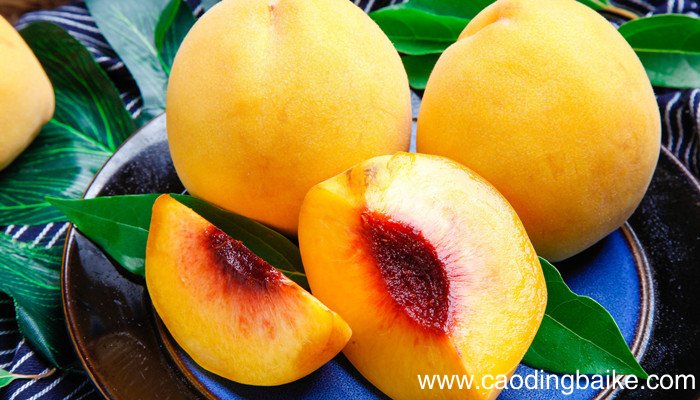 六月中旬上海的特产水果 上海六月产的水果