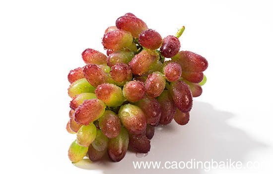 吐鲁番有哪些特色水果 新疆吐鲁番特产