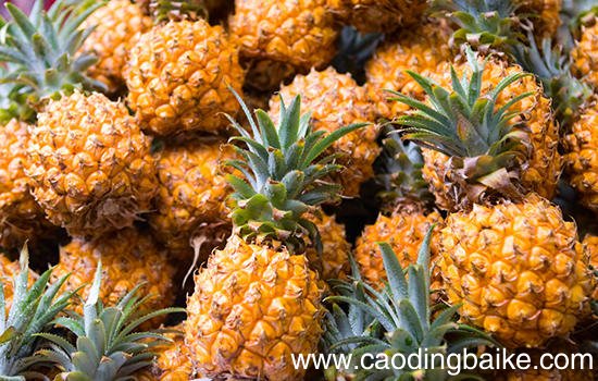 普洱有哪些特色水果 云南普洱特产