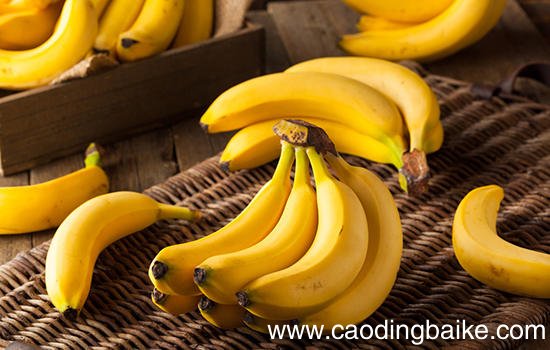 普洱有哪些特色水果 云南普洱特产