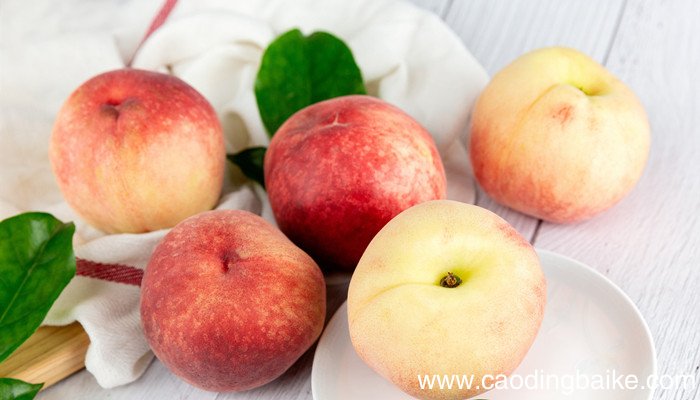 崂山特产 崂山特产都有什么