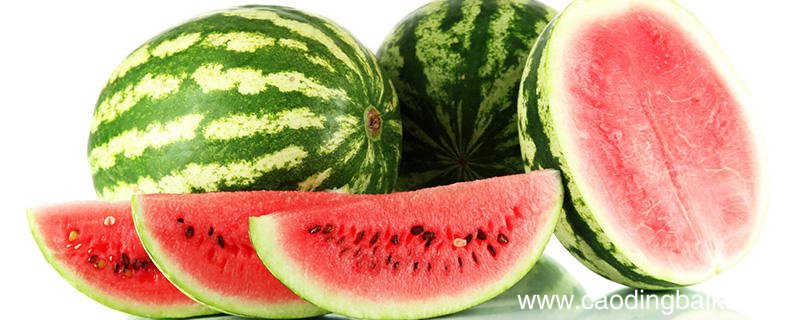 兰州有哪些特色水果 甘肃兰州特产