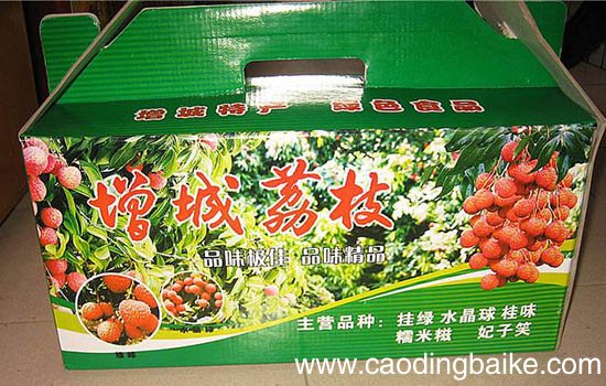 广州有哪些值得带走的特产 广州特产