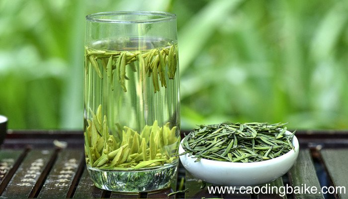 雨花茶属于什么茶系 雨花茶是什么茶
