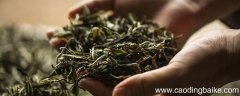 庐山特产 庐山都有什么特产