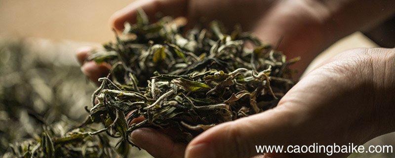 庐山特产 庐山都有什么特产