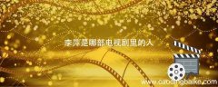 李萍是哪部电视剧里的人 李萍是哪个电视剧